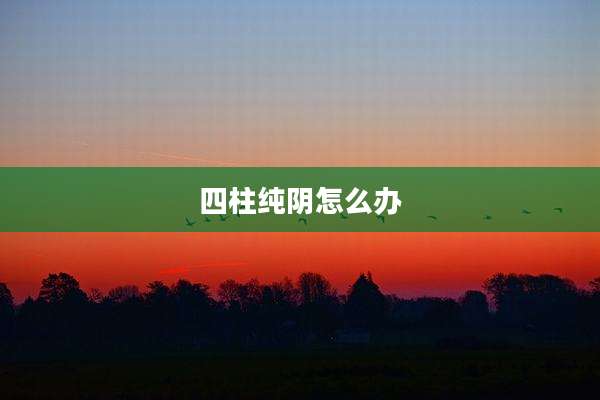 四柱纯阴怎么办