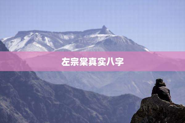 左宗棠真实八字