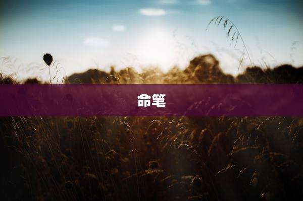 命笔