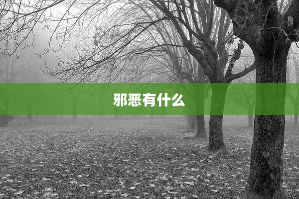 邪恶有什么