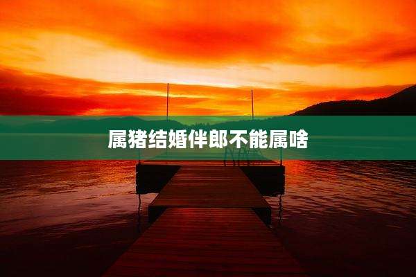属猪结婚伴郎不能属啥