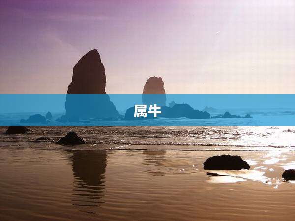 属牛