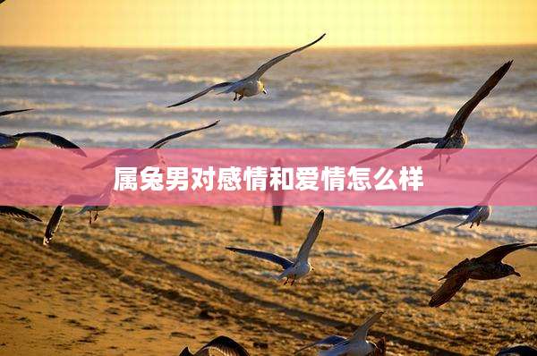 属兔男对感情和爱情怎么样
