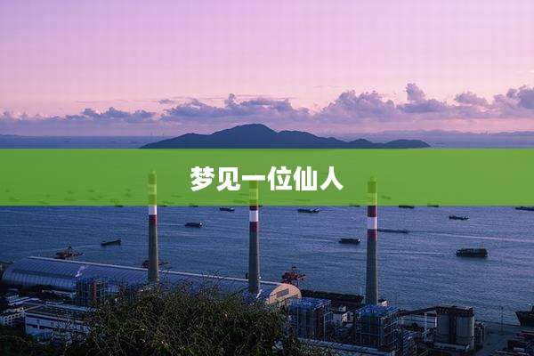 梦见一位仙人