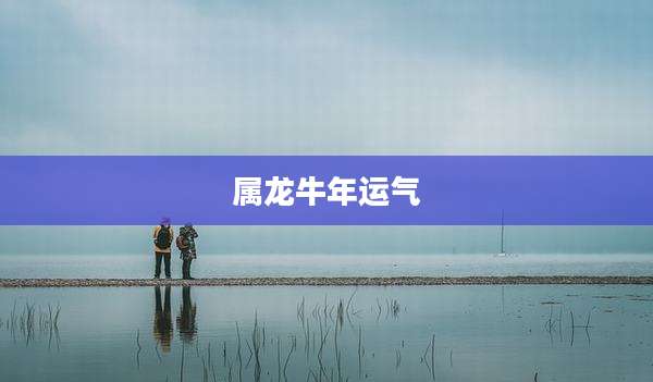 属龙牛年运气