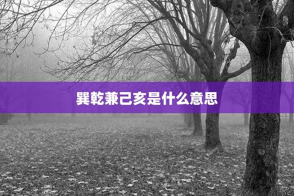 巽乾兼己亥是什么意思