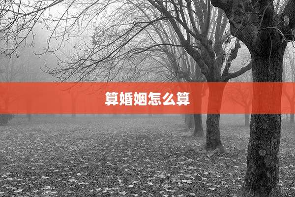 算婚姻怎么算