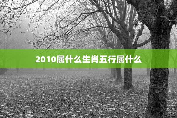 2010属什么生肖五行属什么