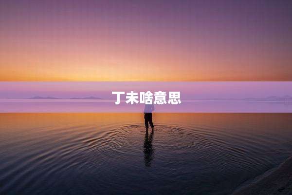 丁未啥意思