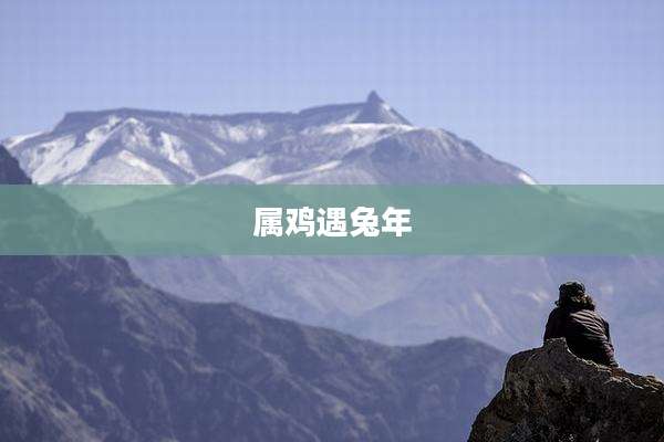属鸡遇兔年