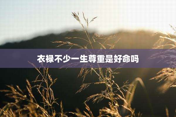 衣禄不少一生尊重是好命吗