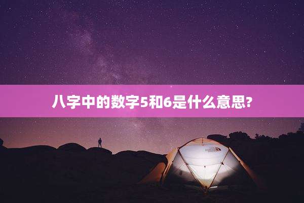 八字中的数字5和6是什么意思?
