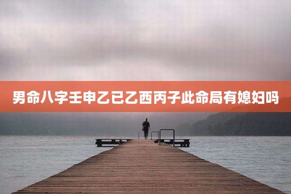 男命八字壬申乙已乙西丙子此命局有媳妇吗