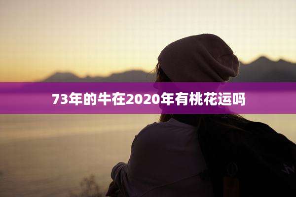 73年的牛在2020年有桃花运吗