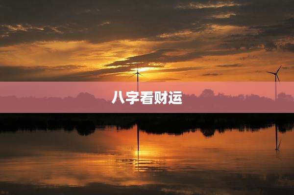 八字看财运