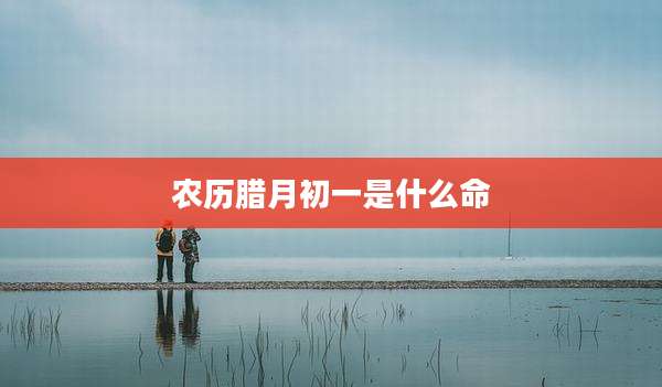 农历腊月初一是什么命