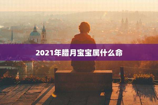 2021年腊月宝宝属什么命