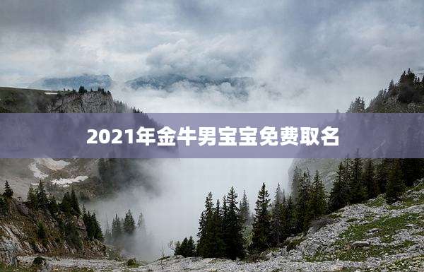 2021年金牛男宝宝免费取名