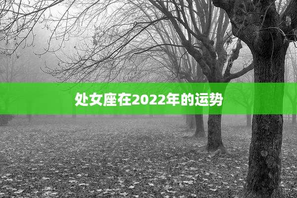 处女座在2022年的运势