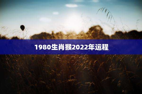 1980生肖猴2022年运程