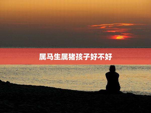 属马生属猪孩子好不好