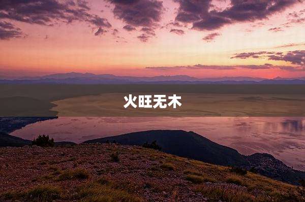 火旺无木