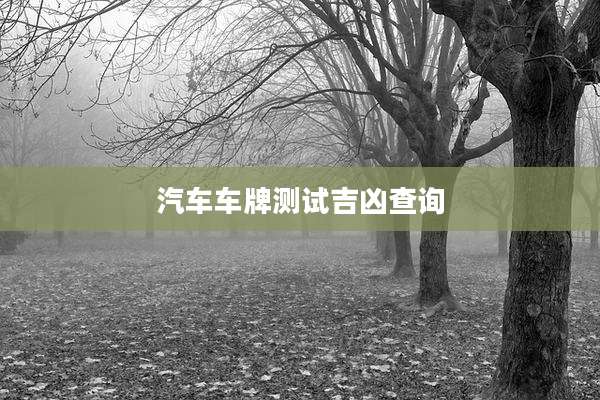汽车车牌测试吉凶查询