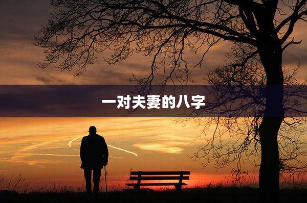 一对夫妻的八字