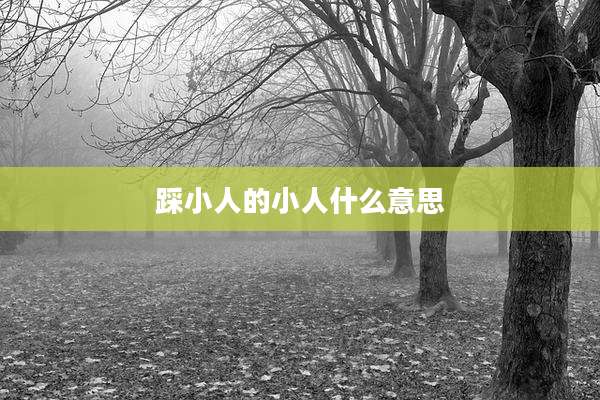 踩小人的小人什么意思