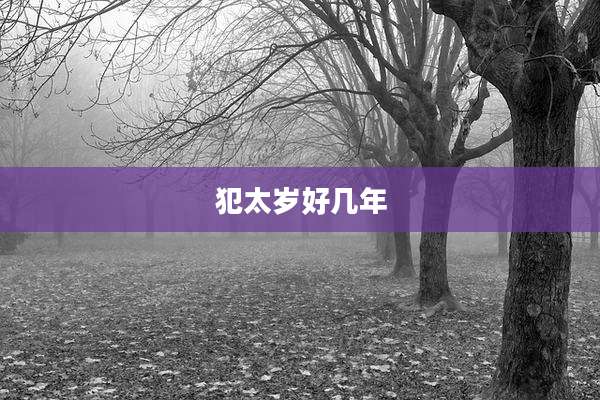 犯太岁好几年