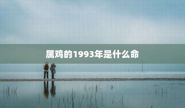 属鸡的1993年是什么命