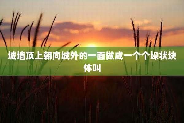 城墙顶上朝向城外的一面做成一个个垛状块体叫