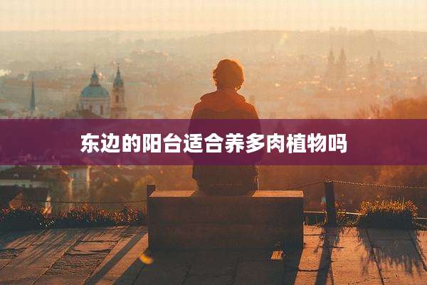 东边的阳台适合养多肉植物吗