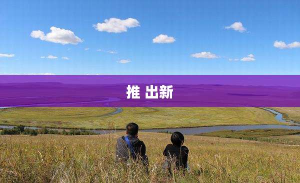 推 出新