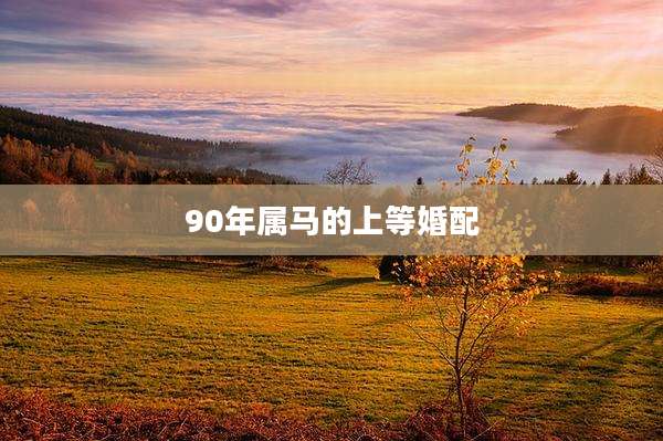 90年属马的上等婚配