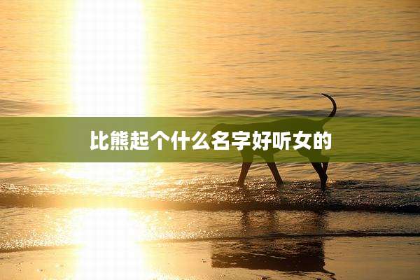 比熊起个什么名字好听女的
