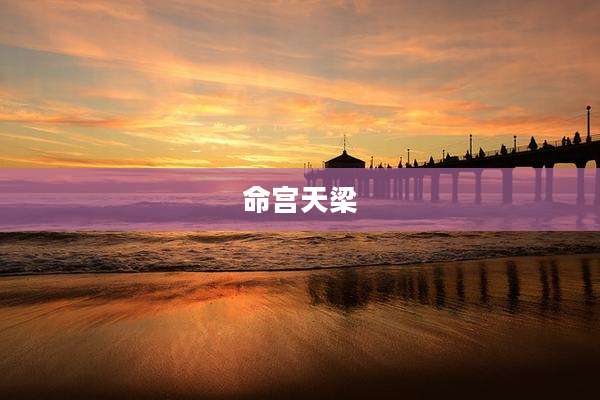 命宫天梁
