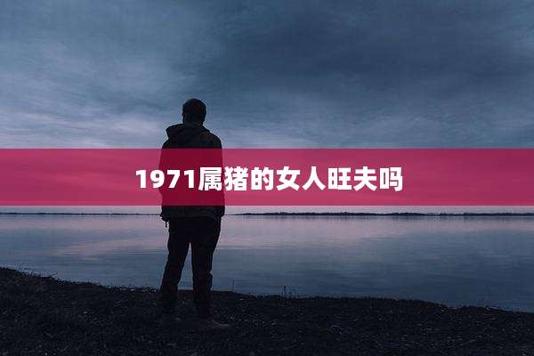 1971属猪的女人旺夫吗
