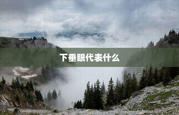 下垂眼代表什么