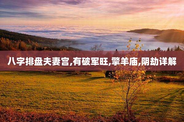 八字排盘夫妻宫,有破军旺,擎羊庙,阴劫详解