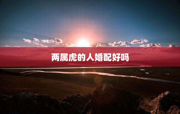 两属虎的人婚配好吗
