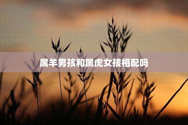 属羊男孩和属虎女孩相配吗
