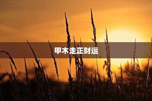 甲木走正财运