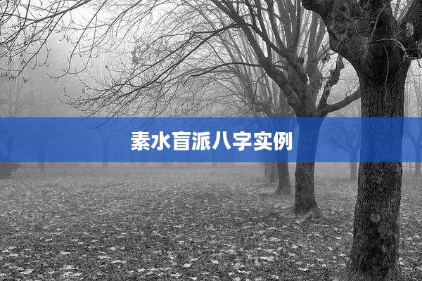 素水盲派八字实例