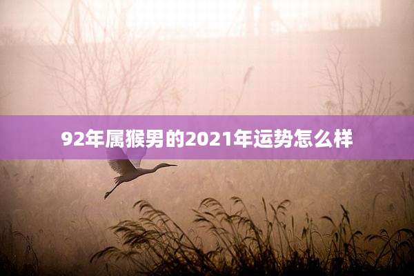 92年属猴男的2021年运势怎么样