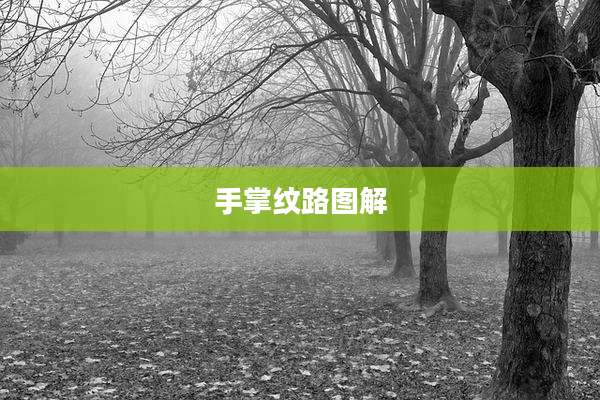 手掌纹路图解