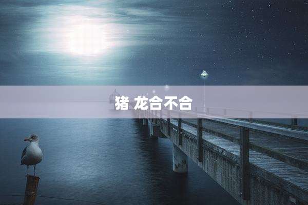 猪 龙合不合