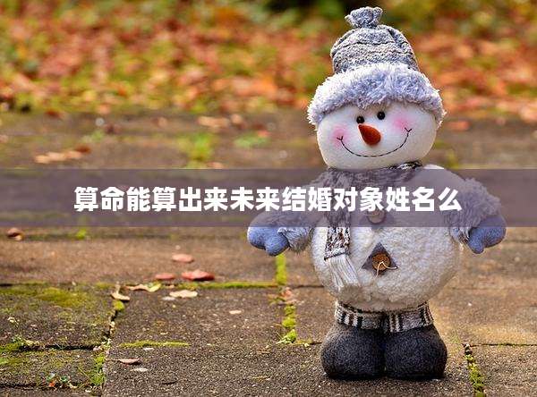 算命能算出来未来结婚对象姓名么