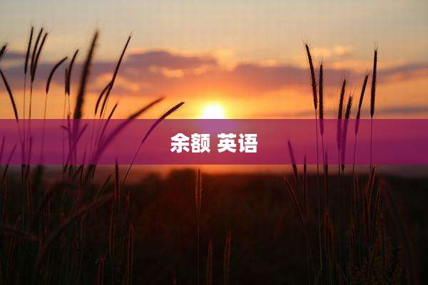 余额 英语