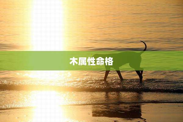 木属性命格